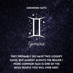 Sternzeichen Kette Zwilling -Herz Schmuck Geschaft Sternzeichen Astrologie Zodiac Signs Fakten Unknown Facts Gemini Zwillinge 1