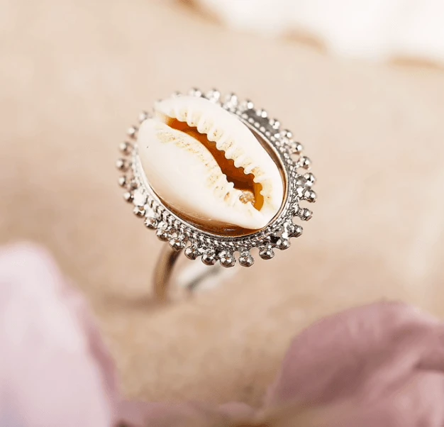 Ring Mussel 4 Ring Mussel – Bild 2