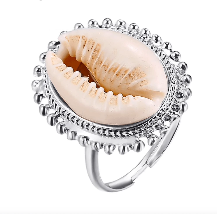 Ring Mussel 6 Ring Mussel – Bild 4